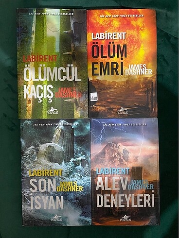 Labirent Serisi 4 kitap