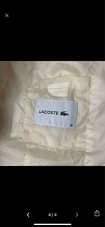 Lacoste Lacoste kaz tüyü mont