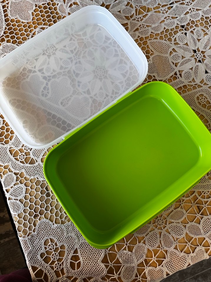 Tupperware saklama kabı ikili - Görsel 2