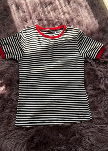 m Beden Renkli Zebra Desenli Kısa Kollu Crop Tişört