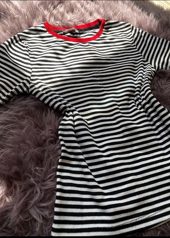 m Beden çeşitli Renk Renkli Zebra Desenli Kısa Kollu Crop Tişört