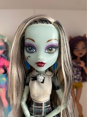Beden Monster High Frankie