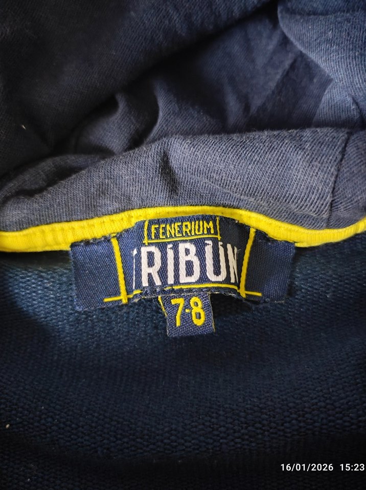 Fenerbahçe Kapüşonlu Fermuarlı Çocuk Sweatshirt - Görsel 2