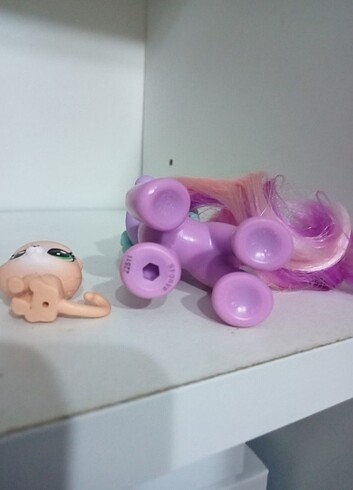 Beden Mlp Daisy Dreams ????