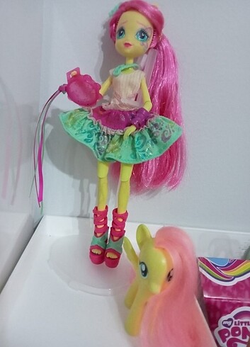 Mlp Fluttershy
