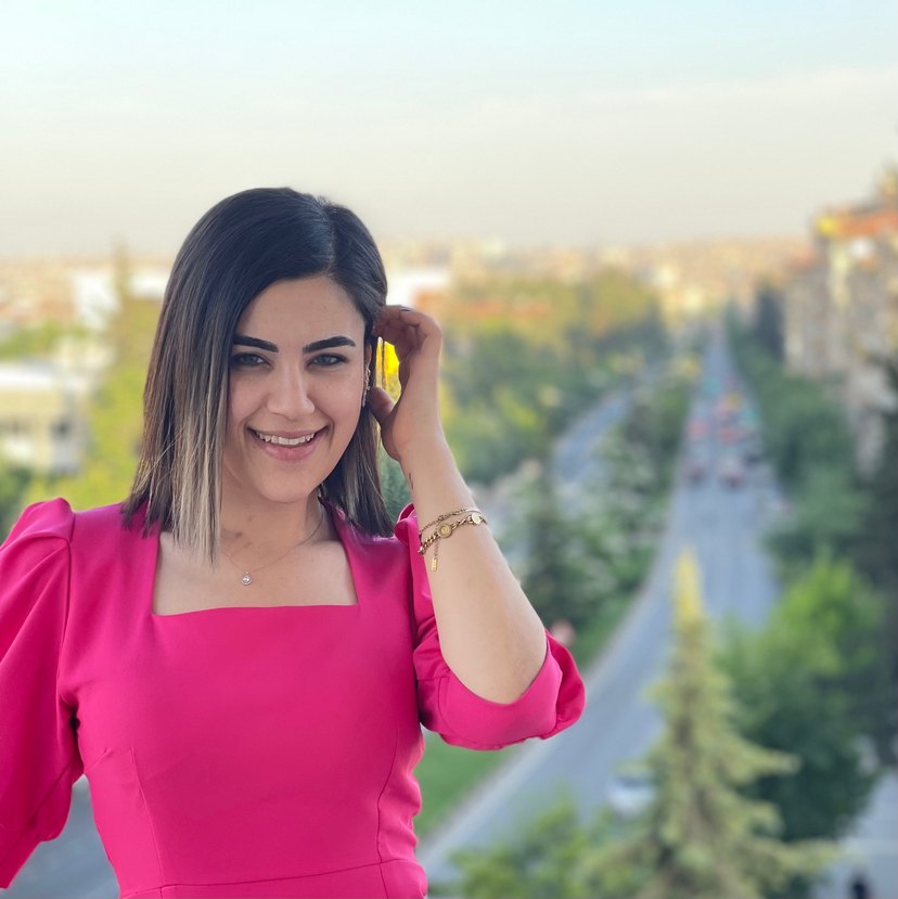 Pembe Uzun Askılı İş Elbisesi - Görsel 3