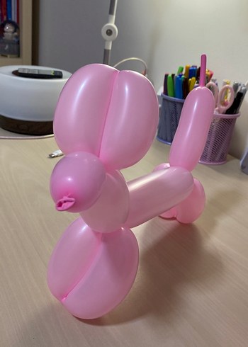 Pembe Balon Köpek Parti Süsü - Görsel 3