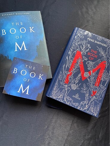  THE BOOK OF M