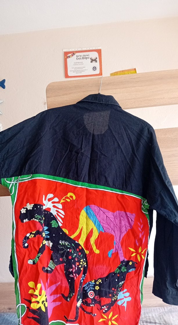 Drapeli Çok Renkli Mini Gömlek - Görsel 5