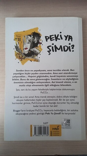  peki ya şimdi, pucca günlük