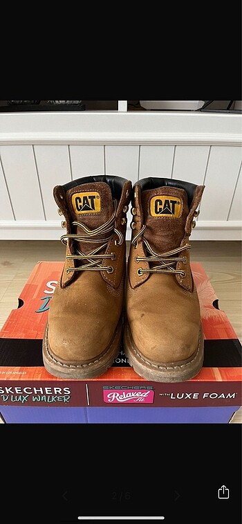 Cat Cat nubuk bot