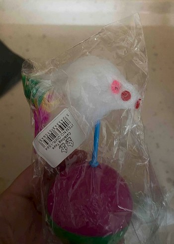 Renkli Çok Renkli Mouse