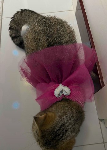 Pembe Tüllü Kalp Detaylı Kedi köpek kıyafeti