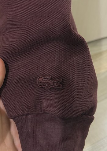 Orijinal Lacoste Sweatshirt - Görsel 5