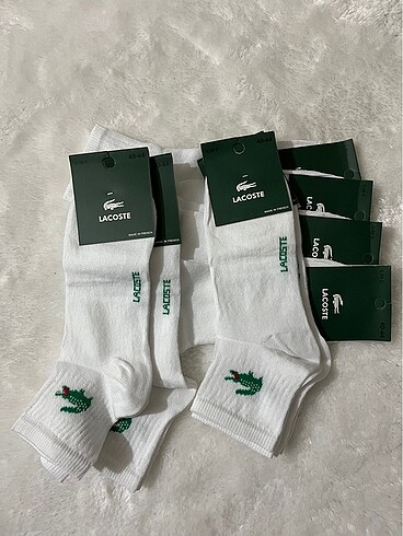 6?lı Lacoste Çorap
