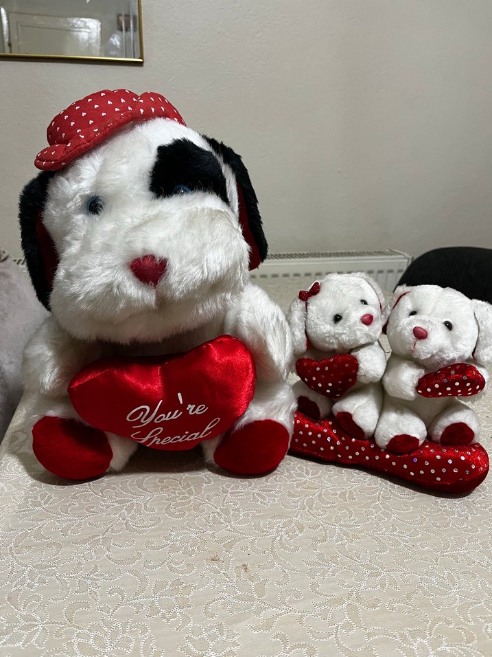 Kalpli Beyaz Peluş Oyuncak Köpek - Görsel 2