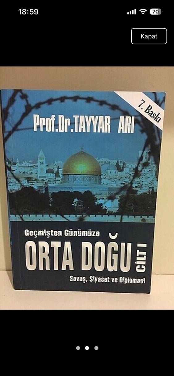 Orta Doğu Tayyar Arı - Görsel 2