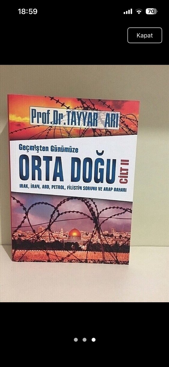 Orta Doğu Tayyar Arı - Görsel 3