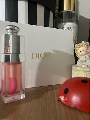 Beden pembe Renk Dior Lip Oil