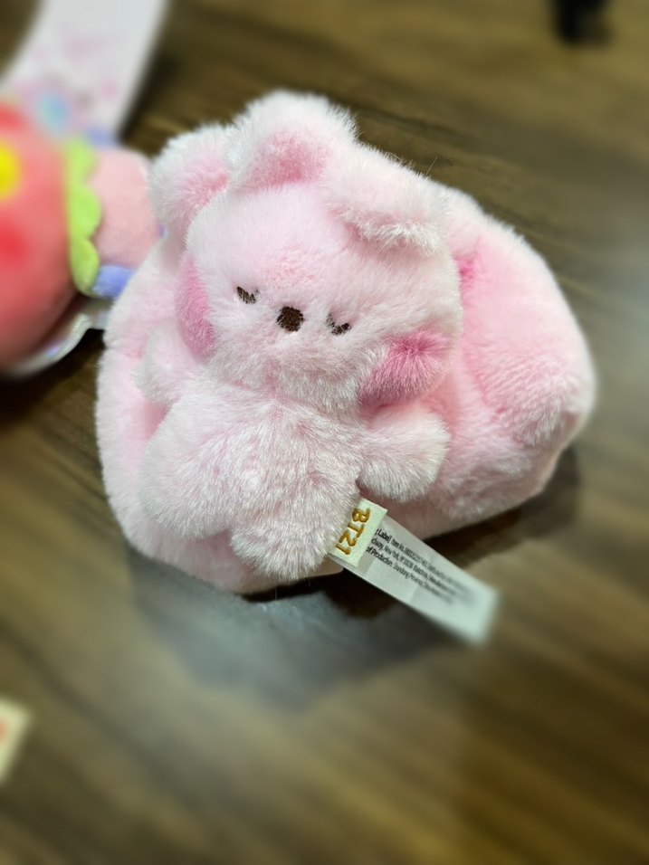 BTS bt21 Cooky Peluş - Görsel 3