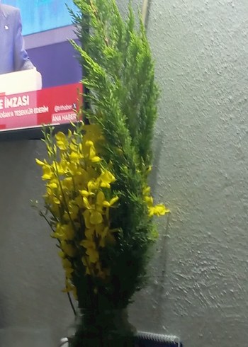 Sarı ve yeşil dekoratif yapay bitki