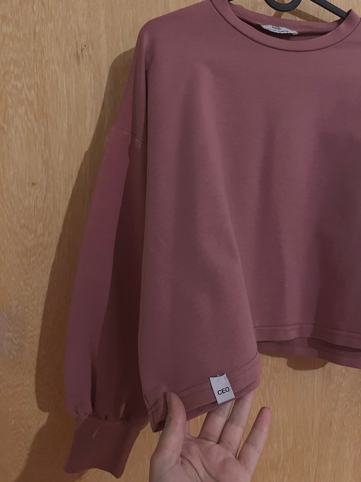 Ceylan Otantik Pembe Kadın Sweatshirt Uzun Kollu Crop - Görsel 3