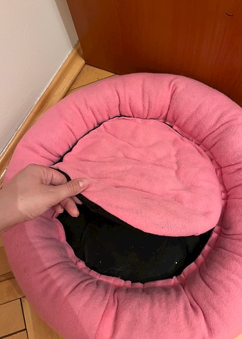  Pembe Kedi Yatağı