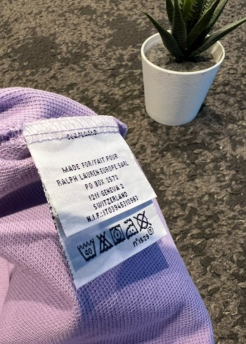 Erkek Mor Kısa Kollu Polo Tişört - Görsel 5