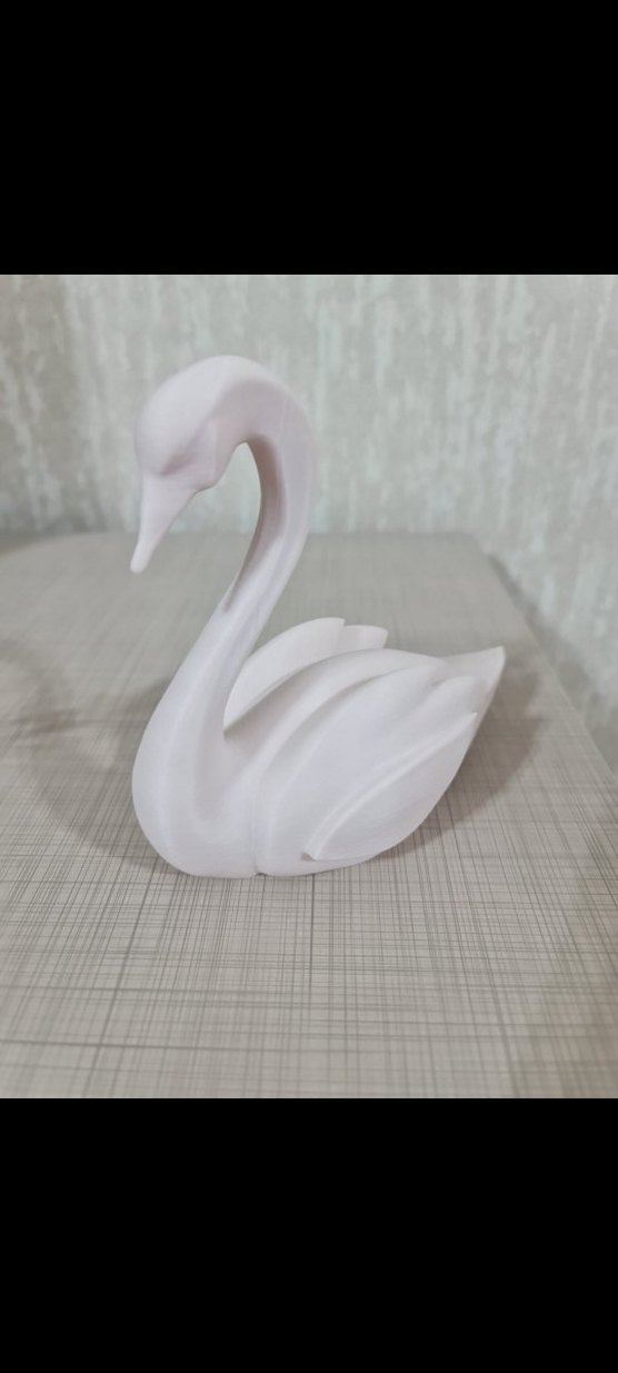 Beyaz Kuğu Biblo - Görsel 4