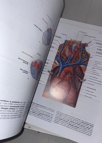  Sobotta Anatomi atlası seti + Konu kitabı