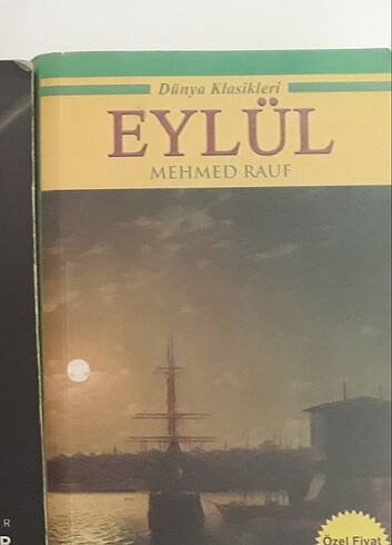 Karışık Kitaplar Adet 25 tl