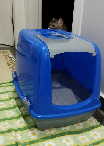 Kum kutusu - Görsel 4