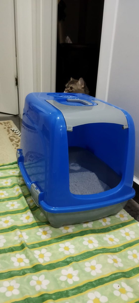 Kum kutusu - Görsel 4