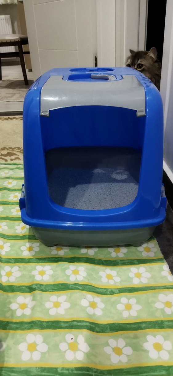 Kum kutusu - Görsel 3