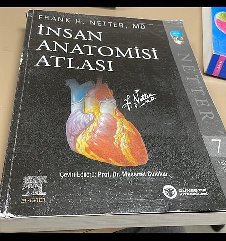  Beden Renk İnsan anatomisi Atlası