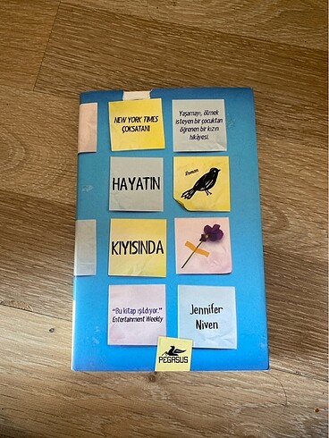 Hayatın kıyısında kitabı