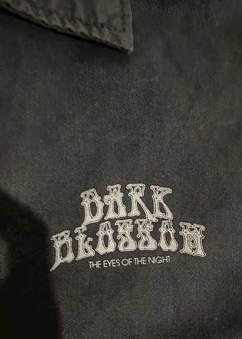 Siyah Kısa Kollu Erkek Keten Gömlek - Görsel 3