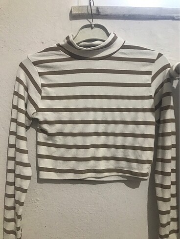 Uzun kollu crop