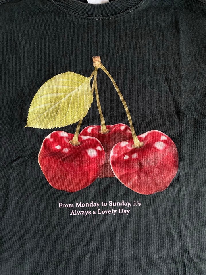 Zara Kısa Kollu Kiraz Baskılı Siyah Tişört - Görsel 2