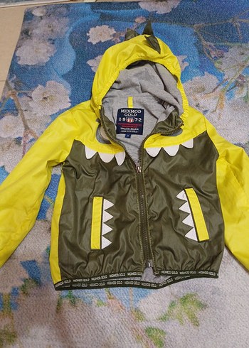 Kapüşonlu Erkek Çocuk Rüzgarlık Mont - Görsel 3