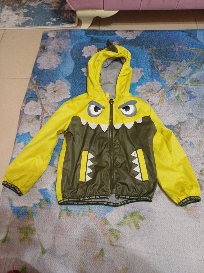 Kapüşonlu Erkek Çocuk Rüzgarlık Mont - Görsel 2