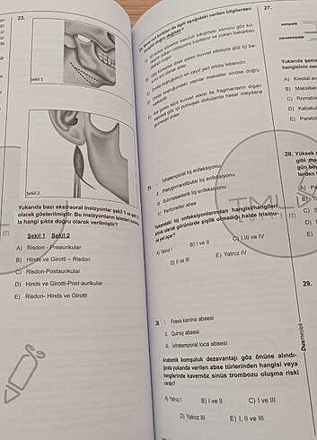 Beden Renk Dus Plus 1 2 3