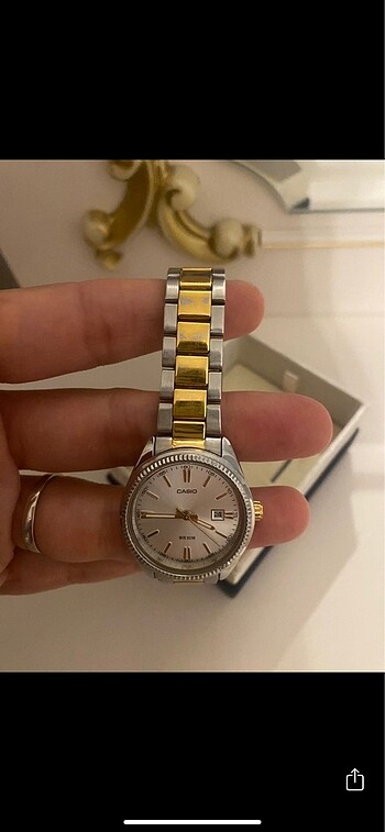 Beden gri Renk Casio Bayan Saat