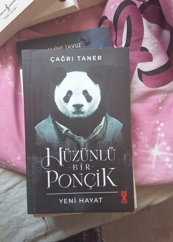 Hüzünlü Bir Ponçik - ÇAĞRI TANER