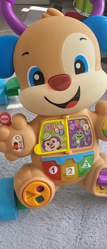 Fisher Price Fishwr price 