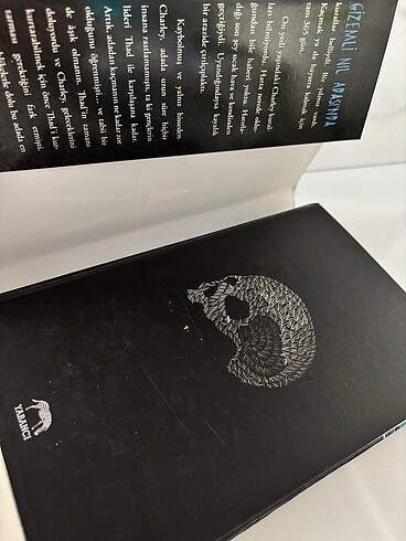 Ada-Lynne Matson kitap - Görsel 3