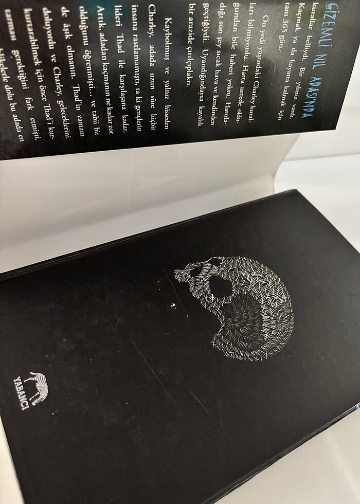 Ada-Lynne Matson kitap - Görsel 3