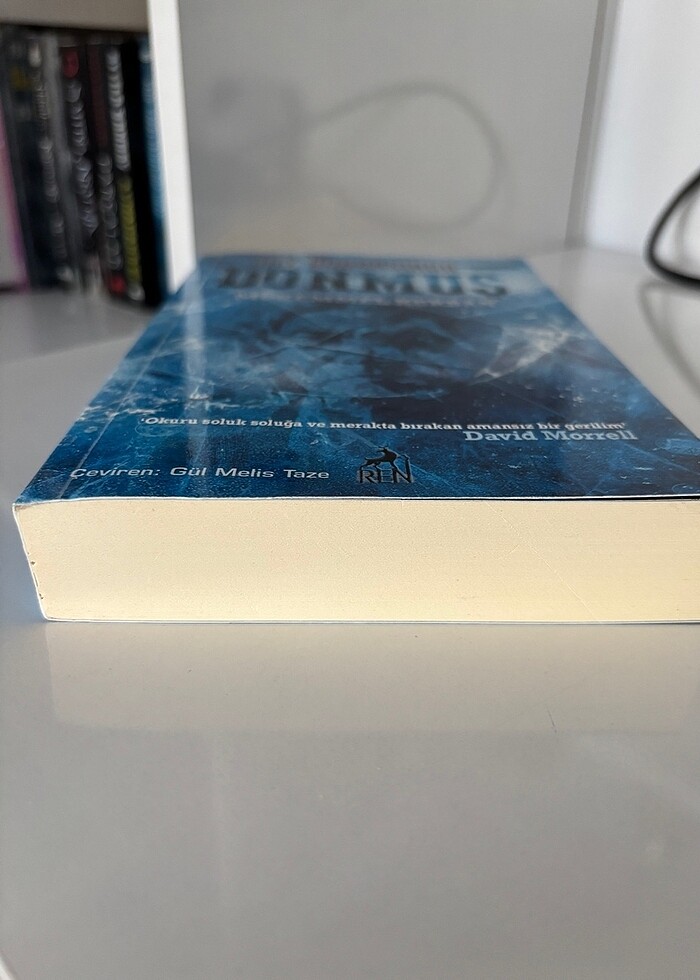 Donmuş-Jay Bonansiga kitap - Görsel 2