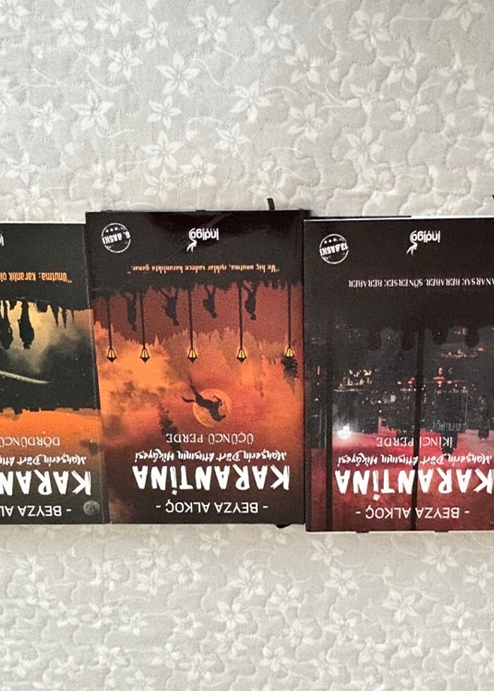 Karantina Serisi - Görsel 3