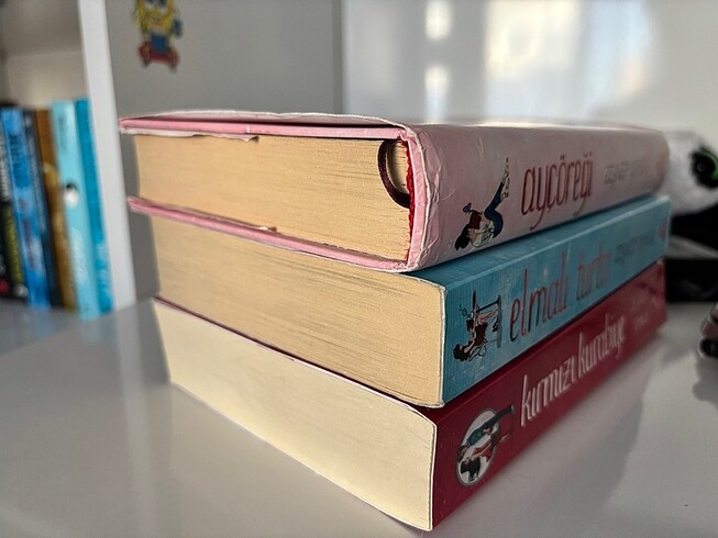 Ayçöreği serisi - Görsel 2